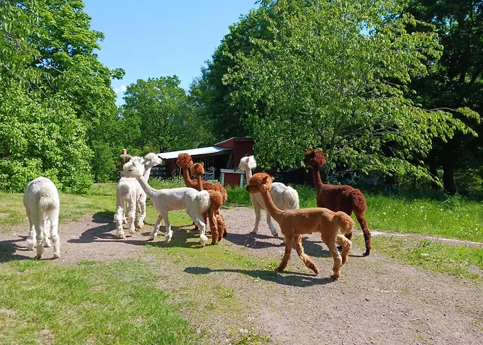 Mansarps Skogs- Och Alpackagard