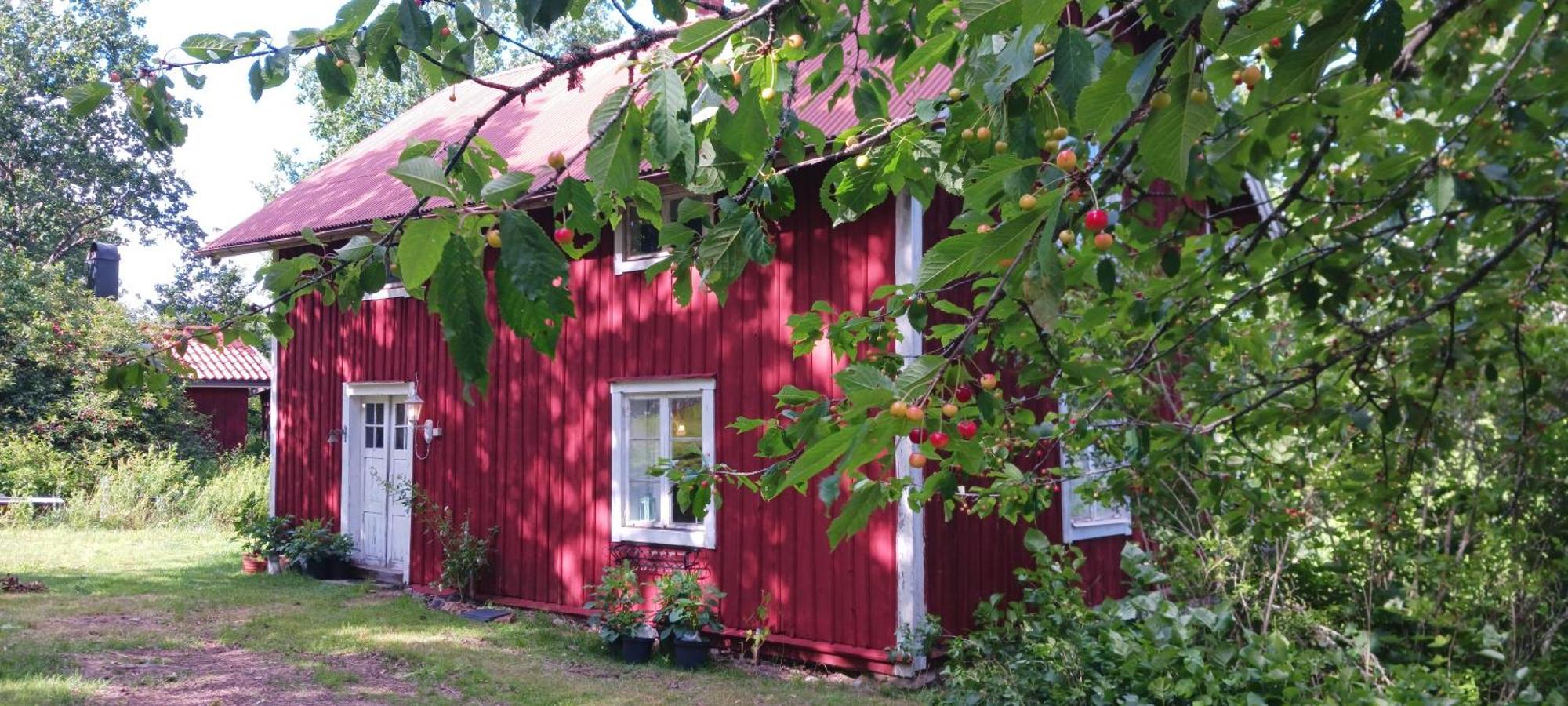 Ferienhaus Mansarps Skogs- Och Alpackagard Vimmerby